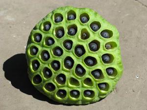 空手指都属于这一类