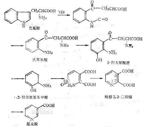 20130530111449-239649936.jpg