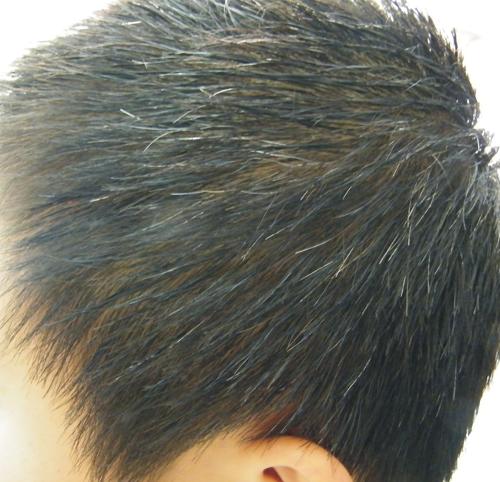 有<em>治少年白的</em>办法吗-