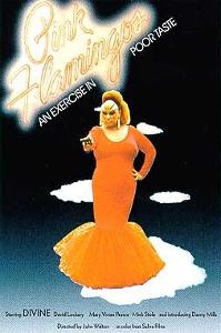 粉红色的火烈鸟