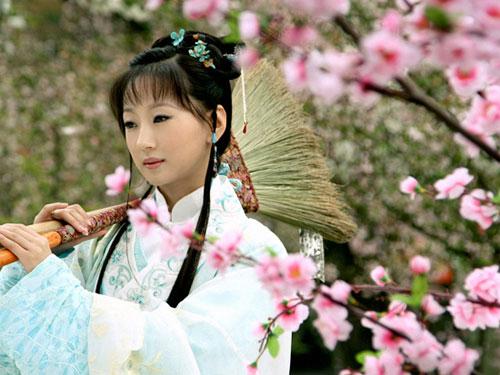 道尽红楼女儿心