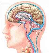 进行性多灶性白质脑病-+搜搜百科