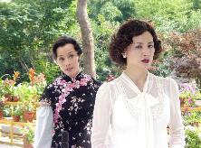 女人何苦为难女人(2008年刘晓庆,田丽主演电视剧)