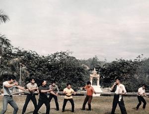 唐山大兄甄子丹