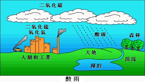 酸雨降落到河流,湖泊中,会妨碍水中鱼,虾的成长,以致鱼虾减少或绝迹