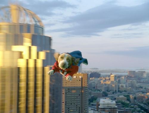 《超狗任务》+-+搜搜百科