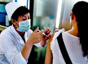 开宠物店打狂犬_猫打了狂犬疫苗咬人_北京哪里打狂犬育苗