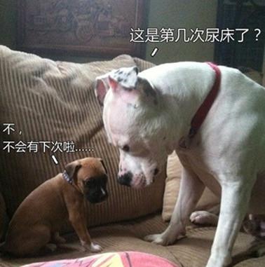 恶搞