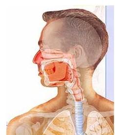 慢性咽炎图片高清图片