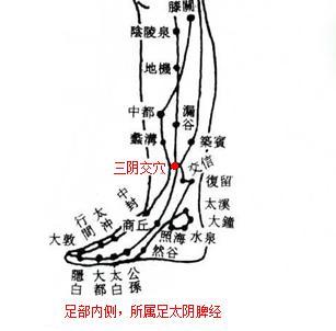 三阴交穴