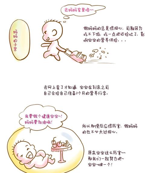 <em>怀孕周期</em>