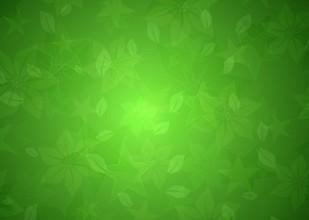 绿色内容创作推动低碳生活方式普及