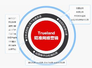 关于网络精准营销下一波的毕业论文参考文献格式范文