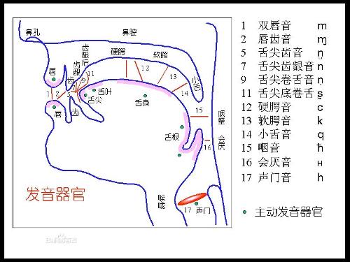 单韵母是由单元音充当的,普通话10个单韵母可以分为舌面元音,舌尖元音