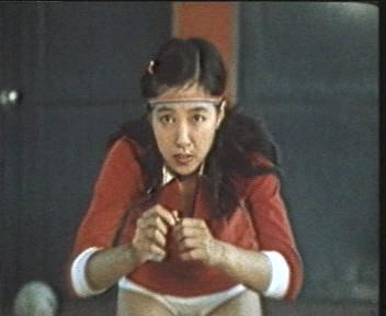 <em>1979年</em>在日本播映