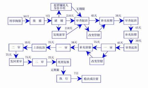 上诉期流程图