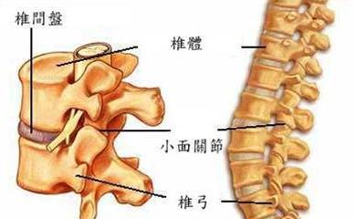 急性颈椎间盘突出症