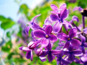 北京紫名都装饰集团