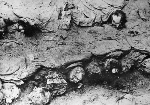 卡廷事件+-+搜搜百科