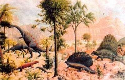 83万年前的希克苏鲁伯陨石坑k-t线地层中发现了高