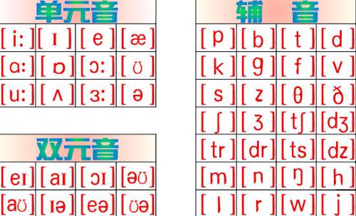 栾的读音 栾用粤语怎么读音_48个国际音标顺口溜