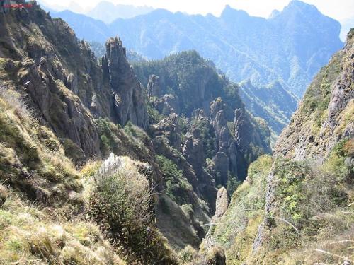 神农架打一字_神农架打_神农架打一个字 | 知客