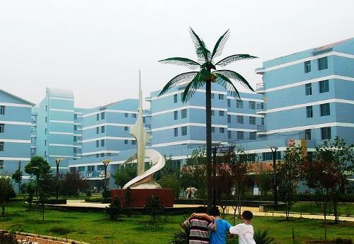 江西农业大学排名_江西农业大学(2)