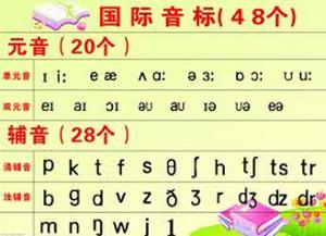 一个音素对应一个音标,故共有48个(英语)国际音标.