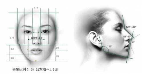 三维立体分析鼻型