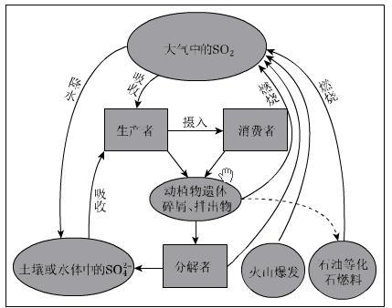 下列关于急性心肌梗死溶栓治疗的叙述,哪项是错误的?_下列关于生态系统稳定性的叙述_生态浮床系统