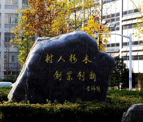 南京林业大学