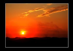 夕阳红论坛