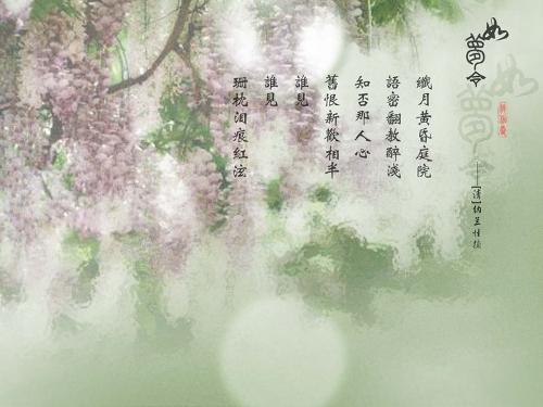 纳兰词