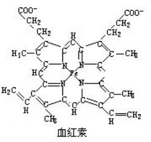 血红蛋白+-+搜搜百科
