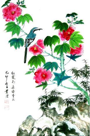 芙蓉花
