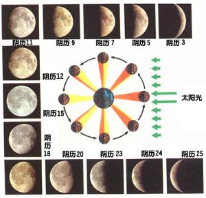 全部版本 历史版本  月相和海洋的潮汐有关系,因为潮汐和月球的引力