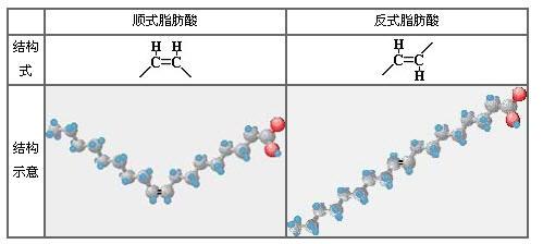 反式脂肪酸