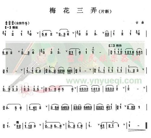 谁说梅花没有泪的曲谱图片分享下载