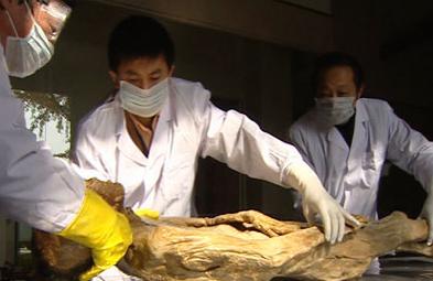 辛追; 女尸,有望解开香妃之谜(一)(2 辛追夫人刚出土照片 辛追夫人