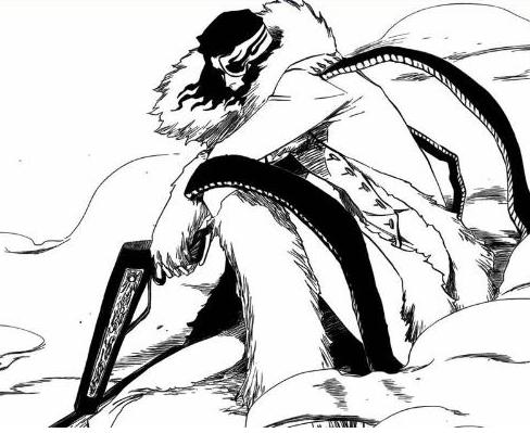 牙神兽兵卫  《魔人侦探食脑奈罗》 黑尾独太  《死神bleach》史塔克