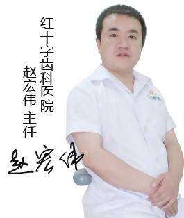 赵宏