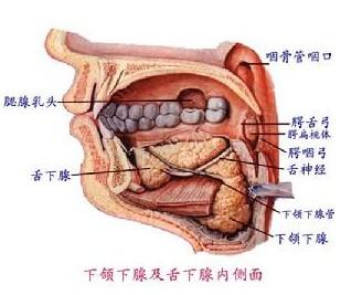 牙髓炎怎么治疗?