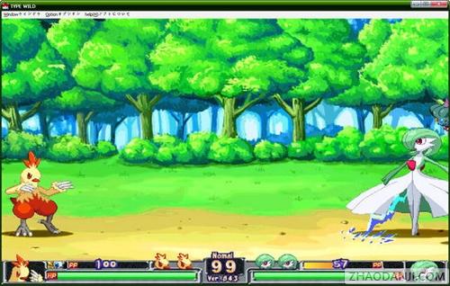 口袋妖怪格斗电脑版