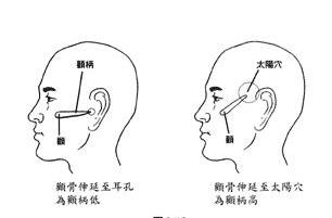 颧骨(quán gǔ)   颧骨位置   颧弓位于颅面骨的两侧,呈向外的