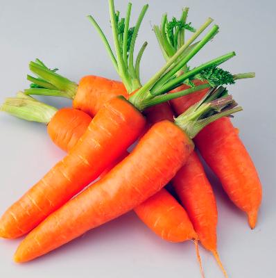 胡萝卜,别名红萝卜,丁香萝卜,葫芦菔金,又被称为胡芦菔,红菜头,黄萝卜