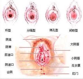 <em>妇科炎症</em> - 搜狗百科