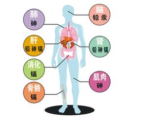  目前重金属污染的治理方法以物理化学方法为主,生物修复技术