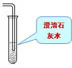 溶液褪色的气体通入澄清的石灰水中