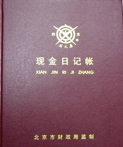 现金日记账_现金收入日记账(2)