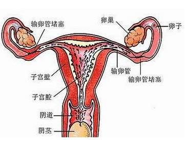 <em>阴道出血</em> - 搜搜百科